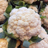 Hectarul - Seminte Conopida AUTUMN  GIANT HERFSTREUSEN Horti Tops 0.5 g